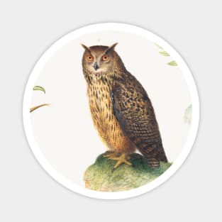 Owl with a Second in the Distance Eating a Rabbit (1575–1580) Magnet